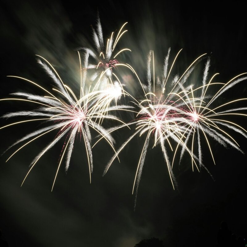 Nell' immagine si vedono fuochi d'artificio nel cielo notturno