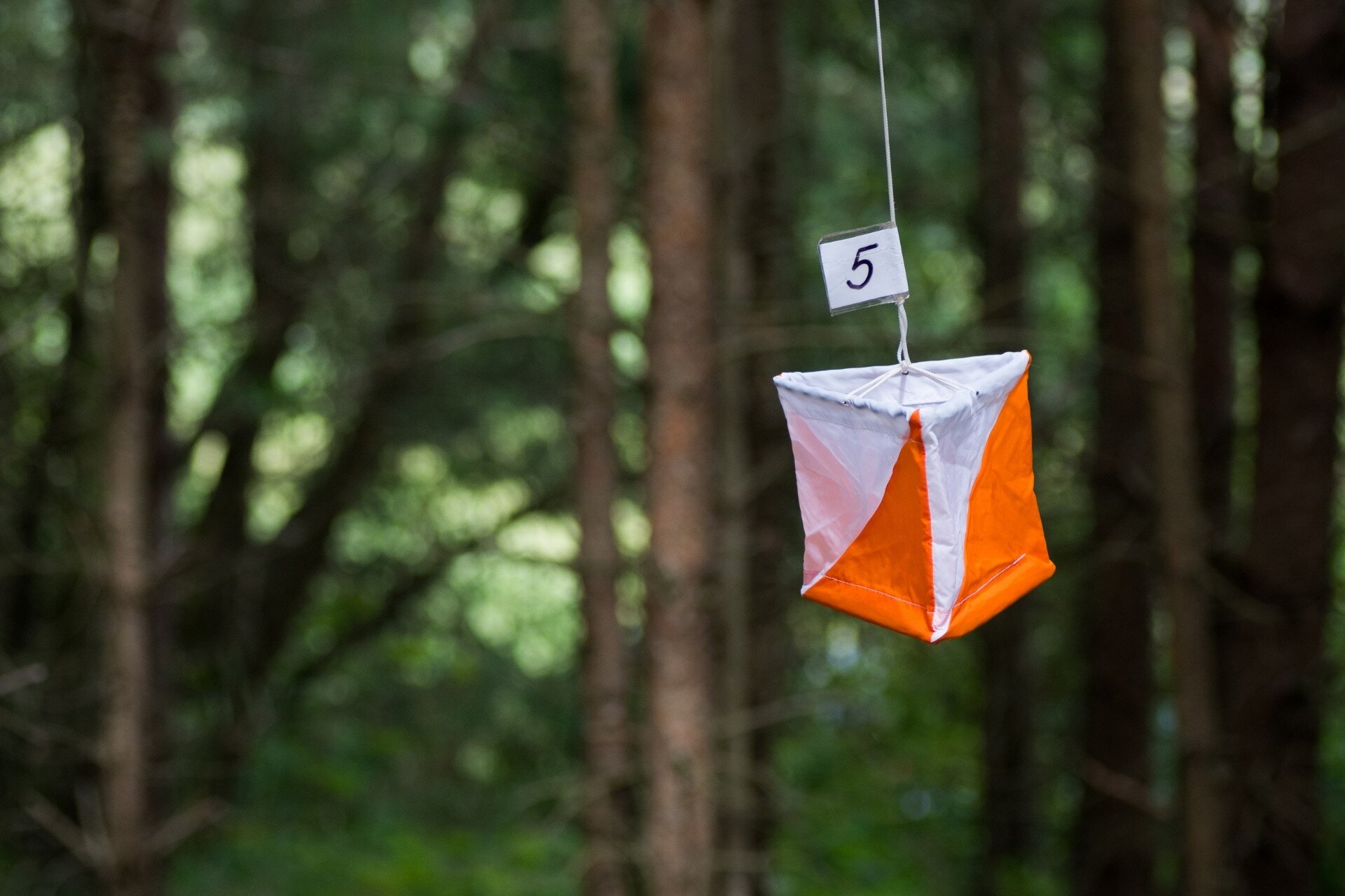 Evento orienteering al Parco del Respiro | © Canva