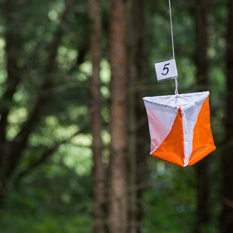 Evento orienteering al Parco del Respiro | © Canva