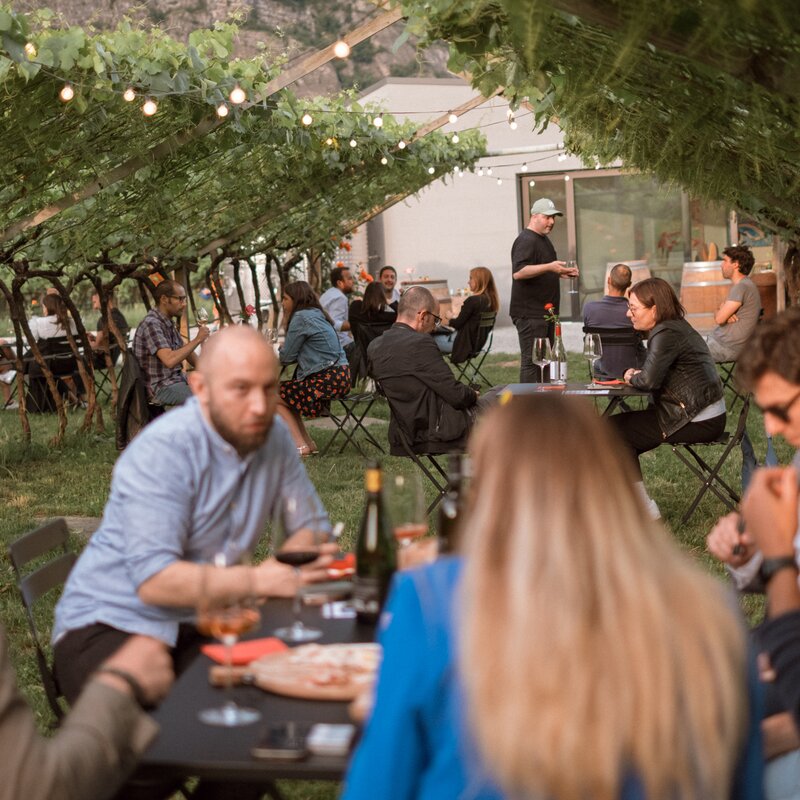 Persone nel vigneto che si rilassano degustando vini dell'azienda | © Cantina De Vigili