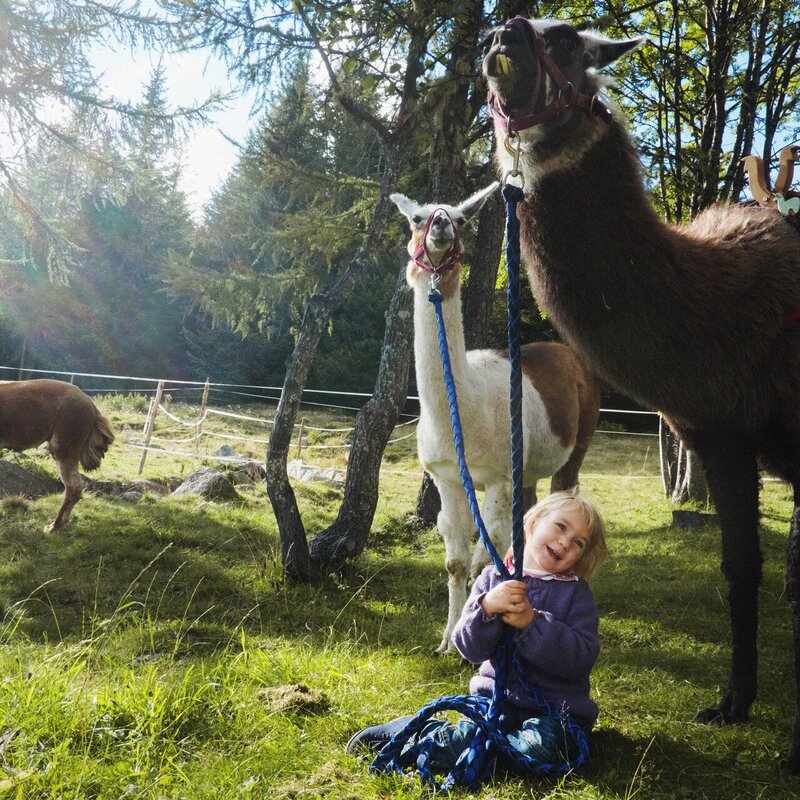 Visita alla fattoria