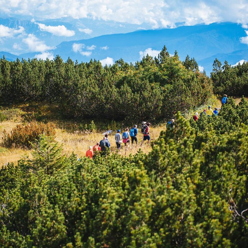 Un gruppo di escursionisti cammina in fila indiana su un sentiero che attraversa un altopiano ricoperto da una fitta vegetazione di pini mughi. Sullo sfondo si apre un ampio panorama di valli e montagne avvolte dalle nuvole. | © Giovanni Danieli, 2019