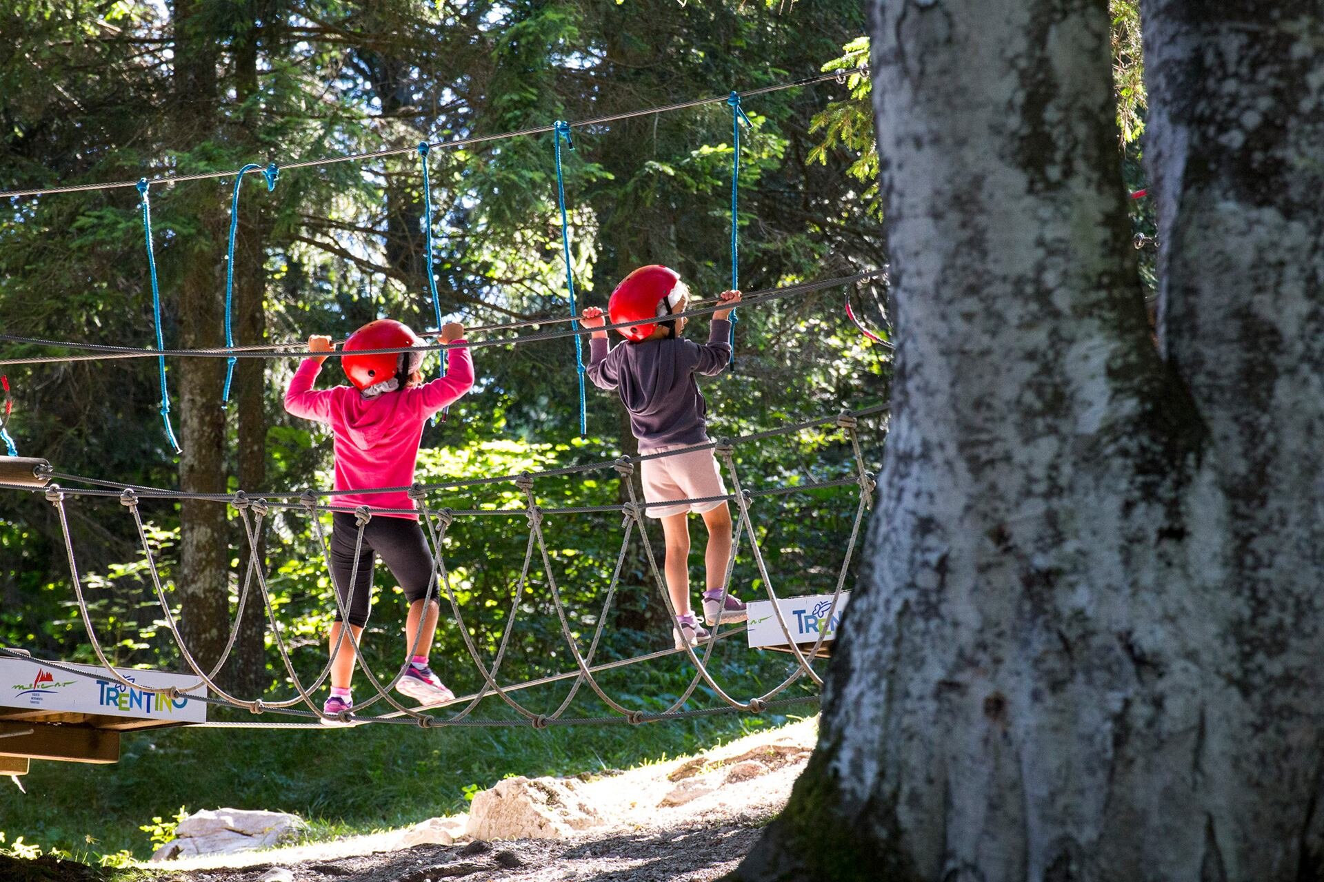 Two children with harnesses are walking on a metal lanyard that joins two plants in the forest park on the Pradel plateau, above Molveno | © Filippo Frizzera, 2019