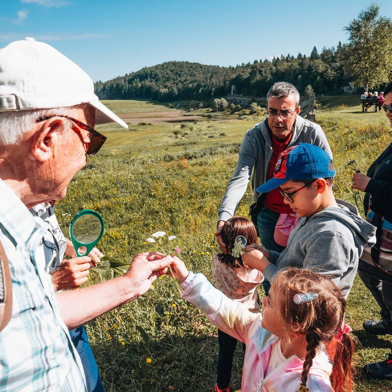 Durante il giro del laghetto di Andalo, i nonni raccolgono fiori e erbe con bambini e bambine. | © Mirko Perli, 2023