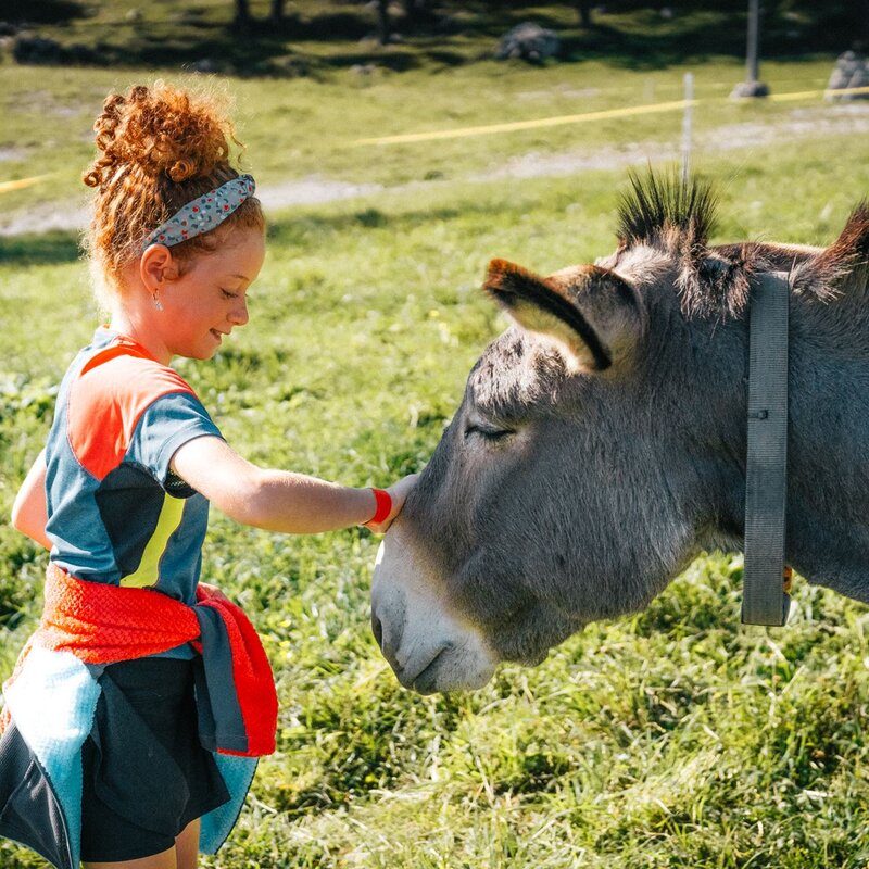 Una persona di giovane età è in piedi su un prato e allunga la mano per toccare con delicatezza il muso di un asino. L'animale, dal manto grigio, appare tranquillo e tiene gli occhi socchiusi, come in risposta al gesto gentile, in una scena ambientata in un campo erboso soleggiato. | © Mirko Perli, 2023