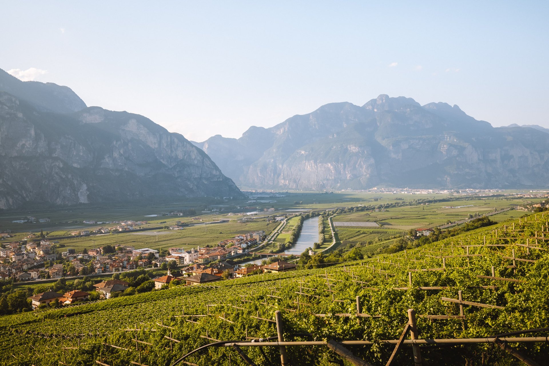 I vigneti e le montagne che circondano i paesini della piana Rotaliana Königsberg | © Nicola Cagol, 2021