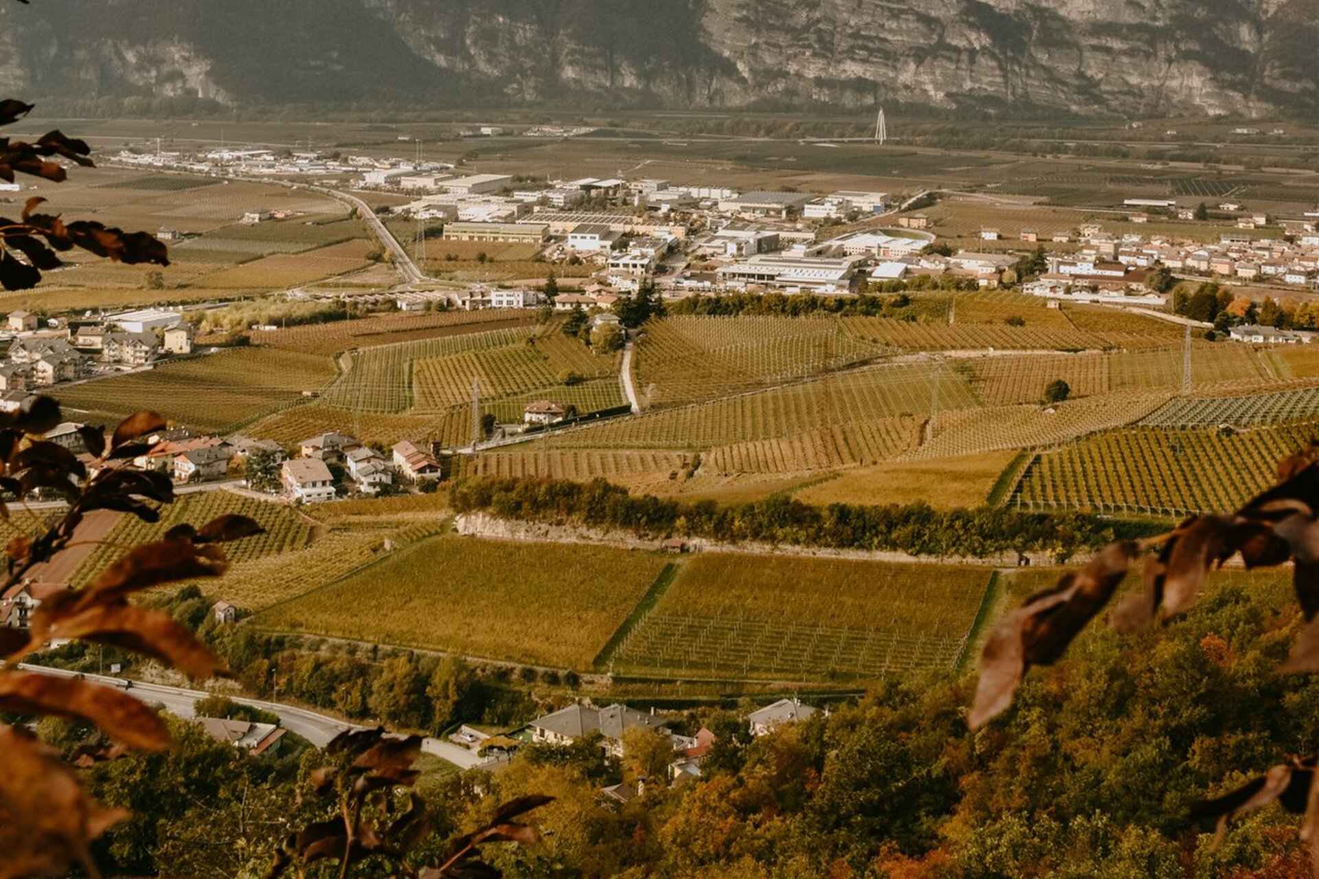 Autumn panoramic view of vineyards, Paganella and some villages of Piana Rotaliana Konigsberg | © @globetrotters, 2021