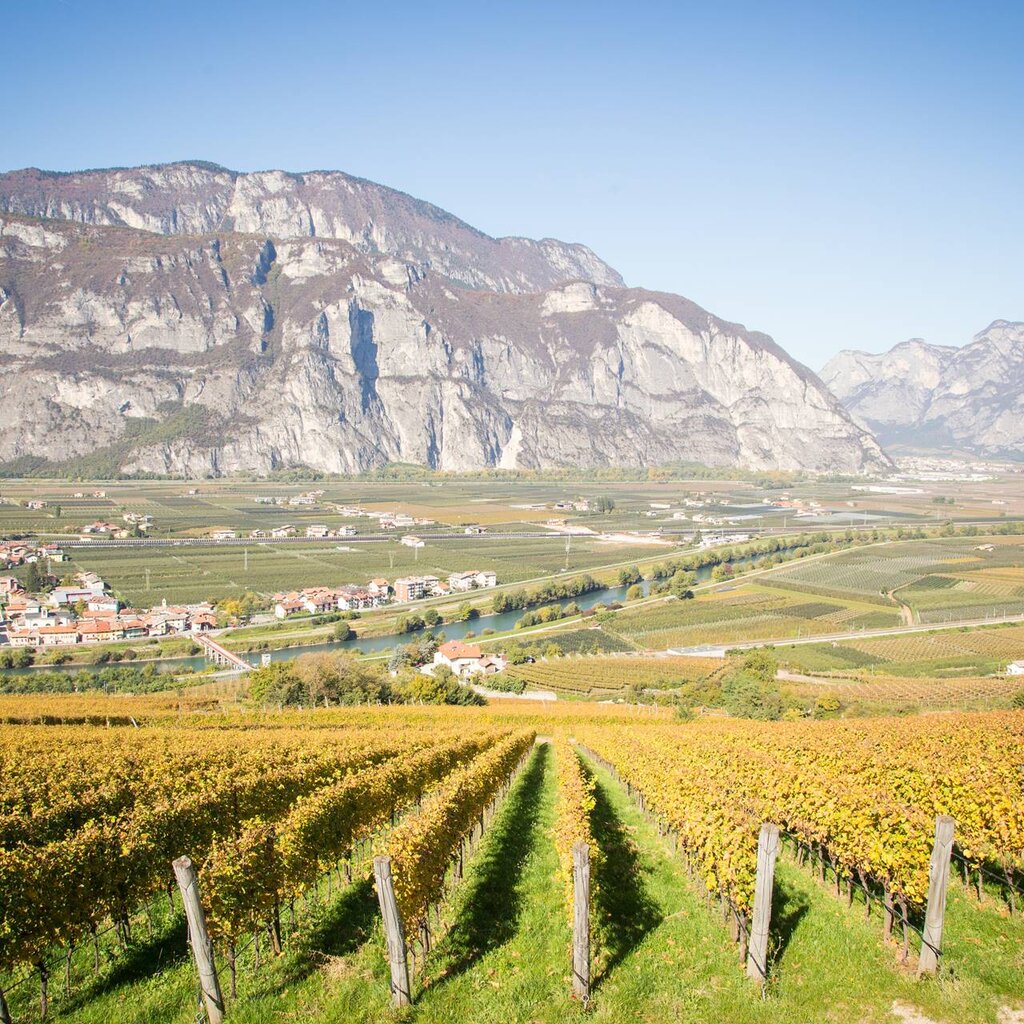 Vineyards, villages of the Piana Rotaliana Konigsberg and mountains of Trentino on a sunny autumn day | © Alfredo Croce, 2017