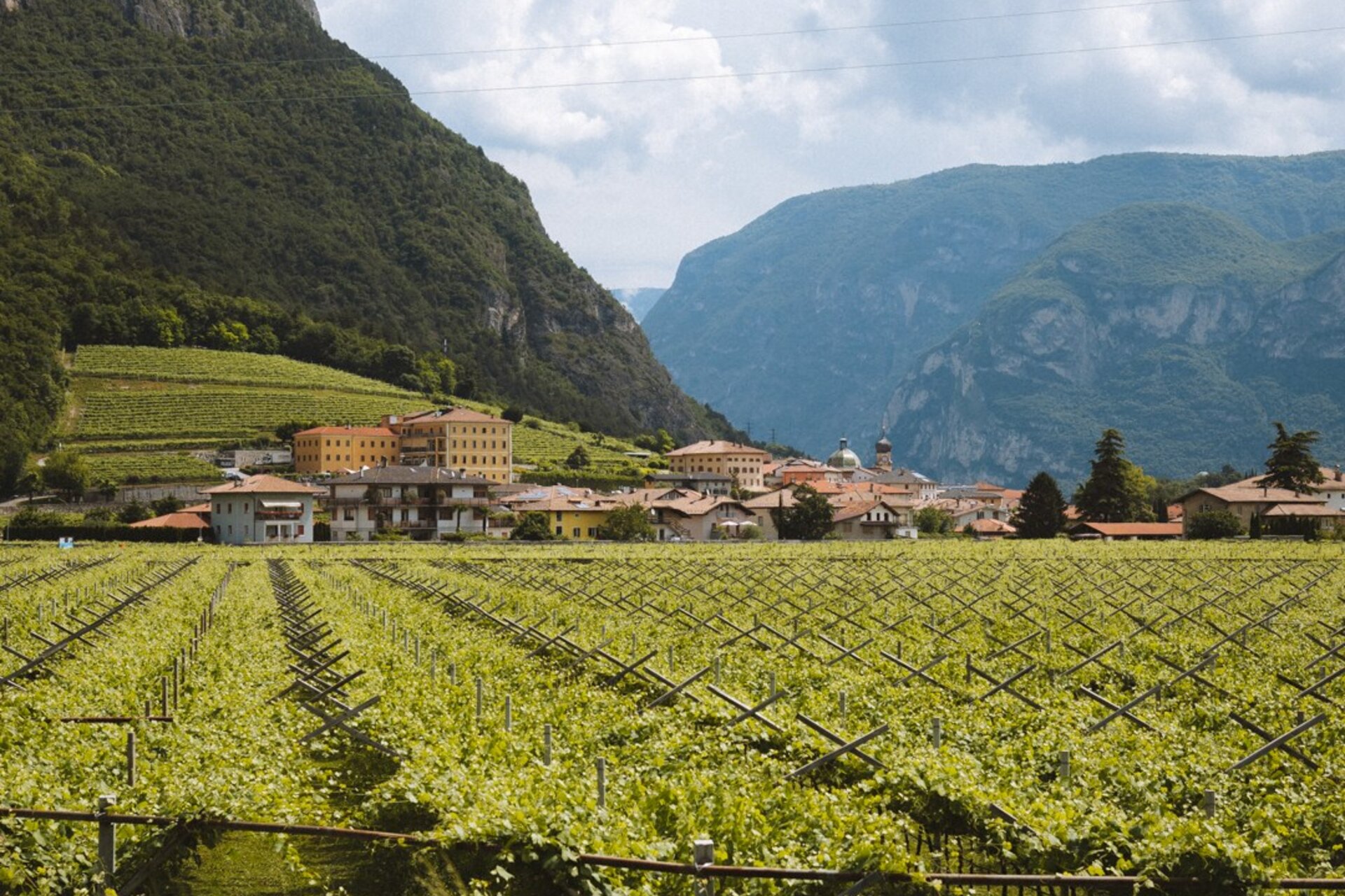 In the foreground the vineyards, in the background one of the villages of the Rotaliana Königsberg. In the background, the mountains rising on the edge of the Piana. | © Nicola Cagol, 2021