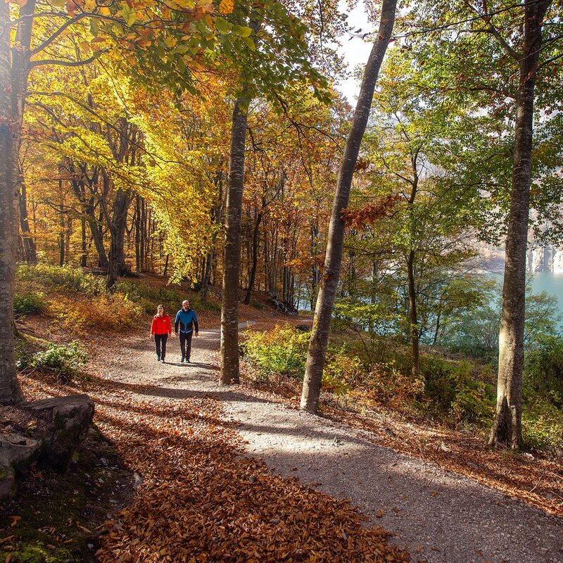 Coppia passeggia intorno al lago di Molveno nel periodo del foliage | © Filippo Frizzera, 2018