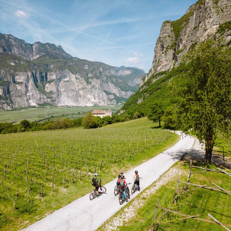 Ciclisti su un tratto del Giro del Vino 50 | © Nicola Cagol, 2023