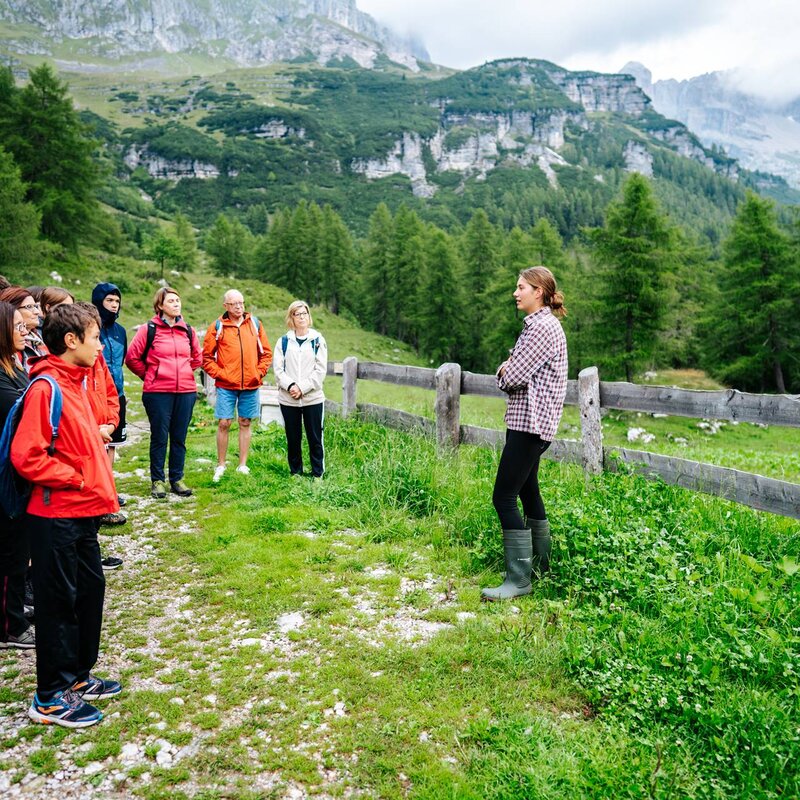 A group of hikers of various ages, dressed in outdoor mountain clothing, listens attentively to a young female guide at a mountain dairy. She is standing near a wooden fence, and the pastures and Dolomites are visible in the background. | © Mirko Perli, 2023