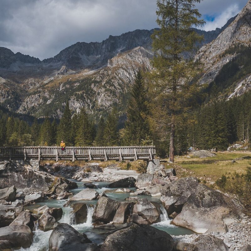 Panorama-Ansicht des Val Genova mit einem Wanderer auf einer rustikalen Holzbrücke, die den Fluss Sarca überquert. Im Hintergrund ragen die imposanten Felsgipfel und Nadelwälder unter einem bewölkten Himmel empor. | © Federico Modica, 2019