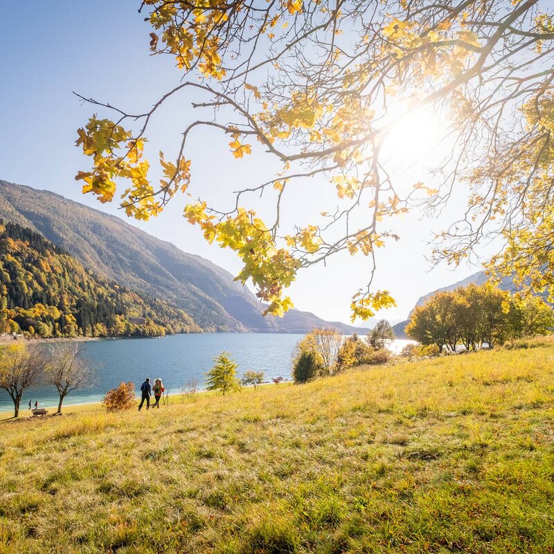 Zwei Personen spazieren am Ufer des Molveno-Sees entlang, umgeben von Bäumen, deren Herbstlaub die Landschaft in warmen Gelbtönen färbt. Das ruhige Wasser des Sees kontrastiert mit den leuchtenden Farben der Wälder, die die umliegenden Berge bedecken. Das Sonnenlicht erhellt die Szene und schafft eine ruhige und entspannende Atmosphäre, die typisch für den Herbst ist. | © Filippo Frizzera, 2021