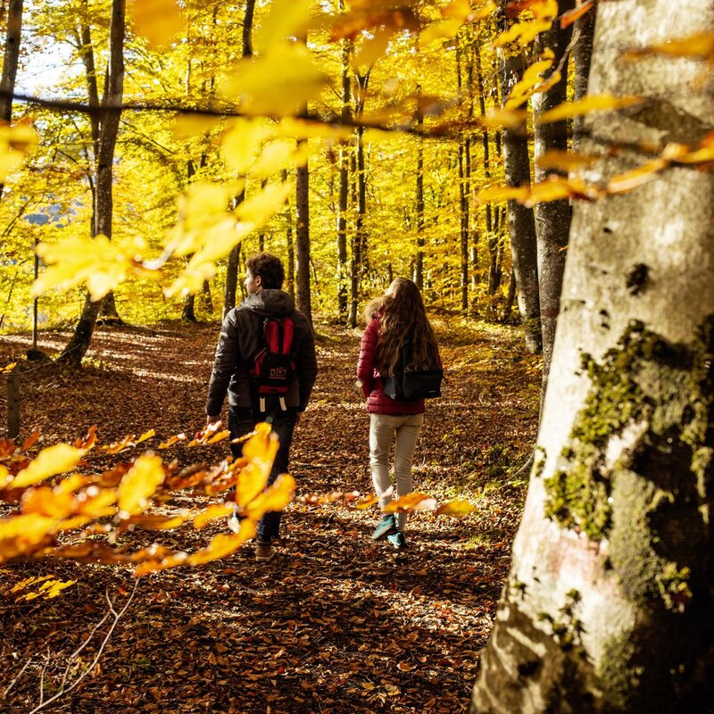 Due persone con lo zaino, viste di schiena, passeggiano in un bosco durante il picco del foliage autunnale nel Parco del Respiro. Il sentiero è coperto da un tappeto di foglie secche e la luce del sole, filtrando tra i rami, illumina la foresta con calde tonalità di giallo e arancione. | © Massimo Giovannini. 20222