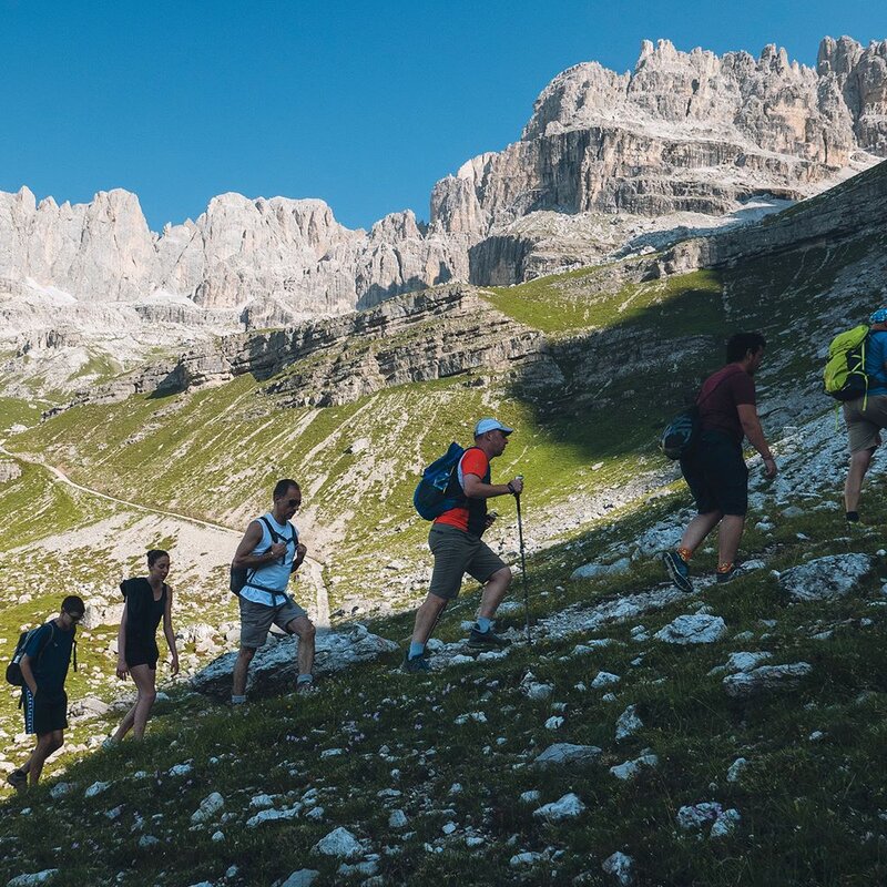 Terkking Selvaggio Sud Brenta Estate 2019 DP Ph. Frizzera WEB (2)