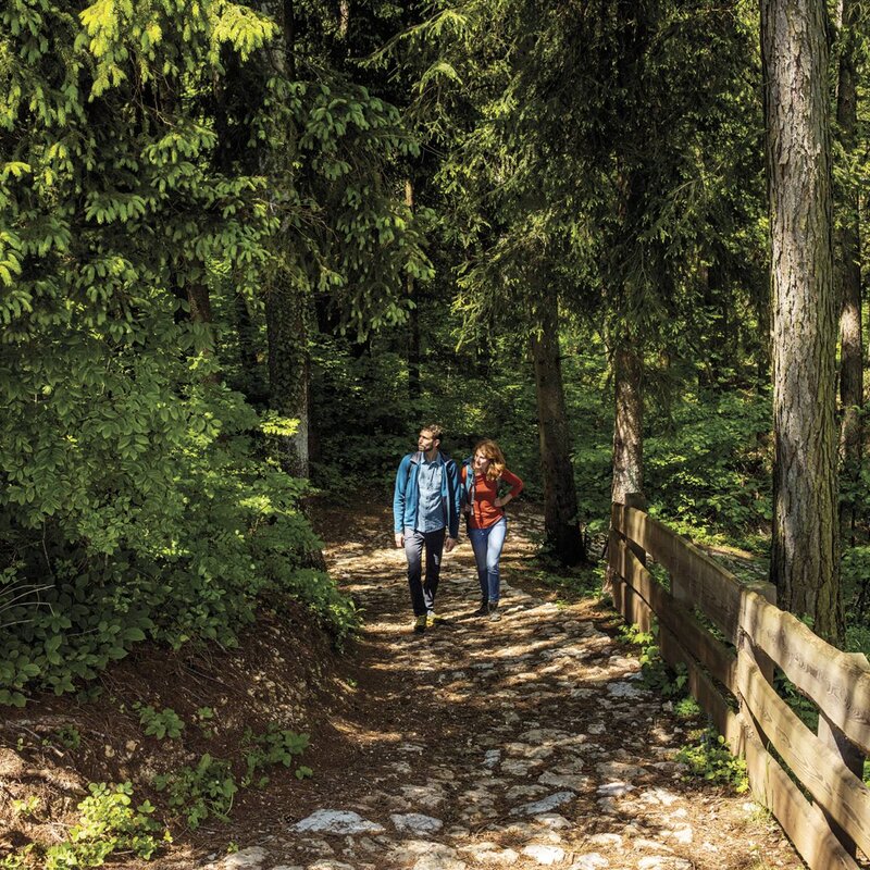 A couple walks along the paths of the Respiro Park in Fai della Paganella. | © Massimo Giovanni, 2022