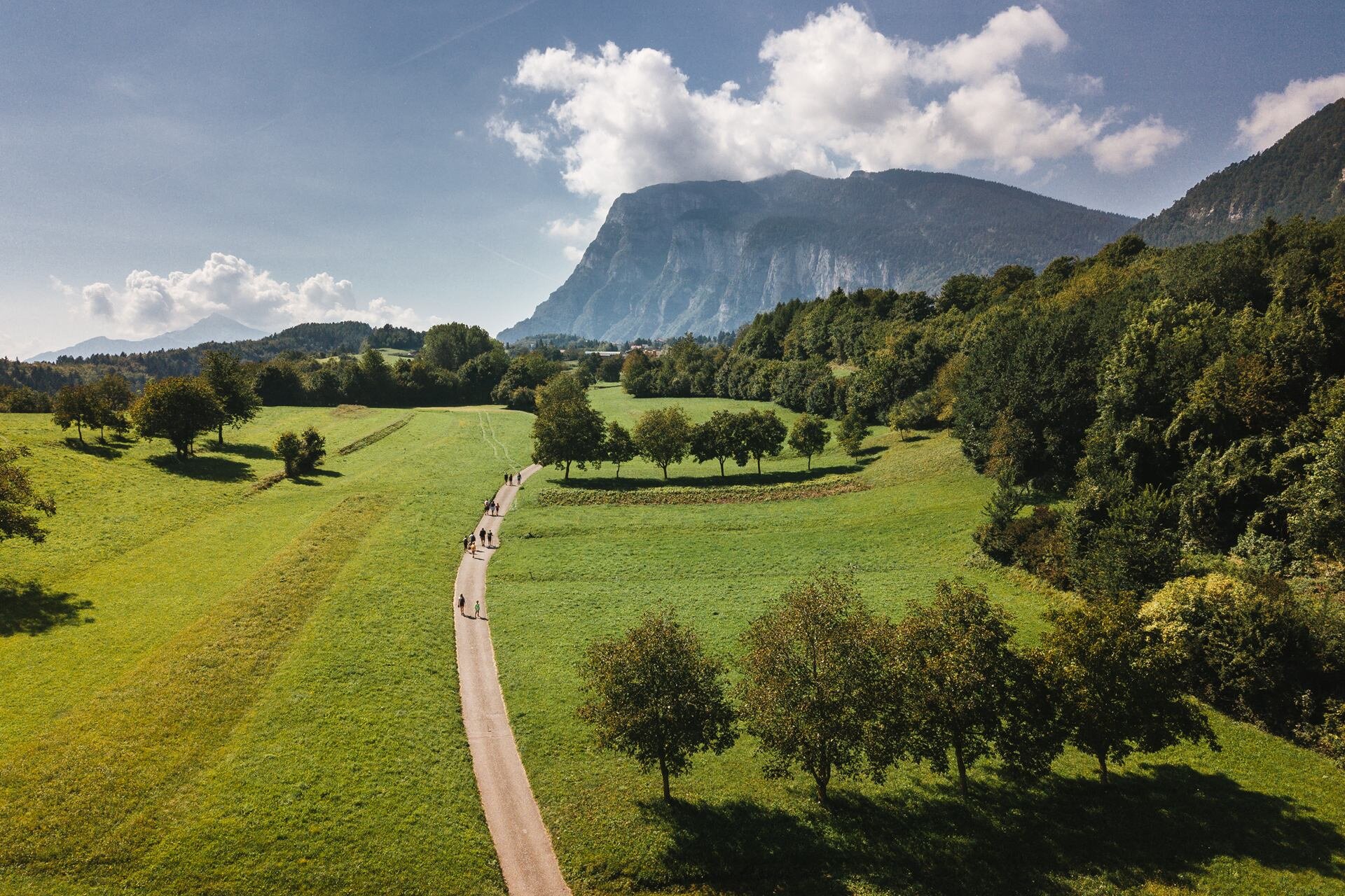 A path meanders through a lush green meadow, with scattered trees creating areas of shade. In the distance, Paganella rises against a clear blue sky with white clouds. A group of people walk along the path. | © Fai Vacanze, 2020