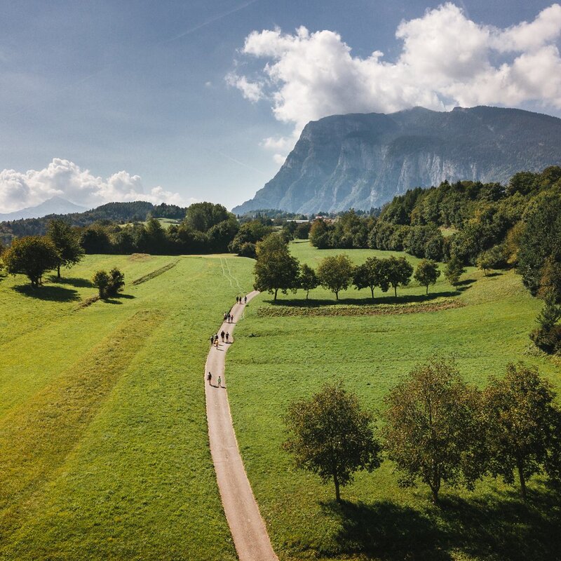 A path meanders through a lush green meadow, with scattered trees creating areas of shade. In the distance, Paganella rises against a clear blue sky with white clouds. A group of people walk along the path. | © Fai Vacanze, 2020