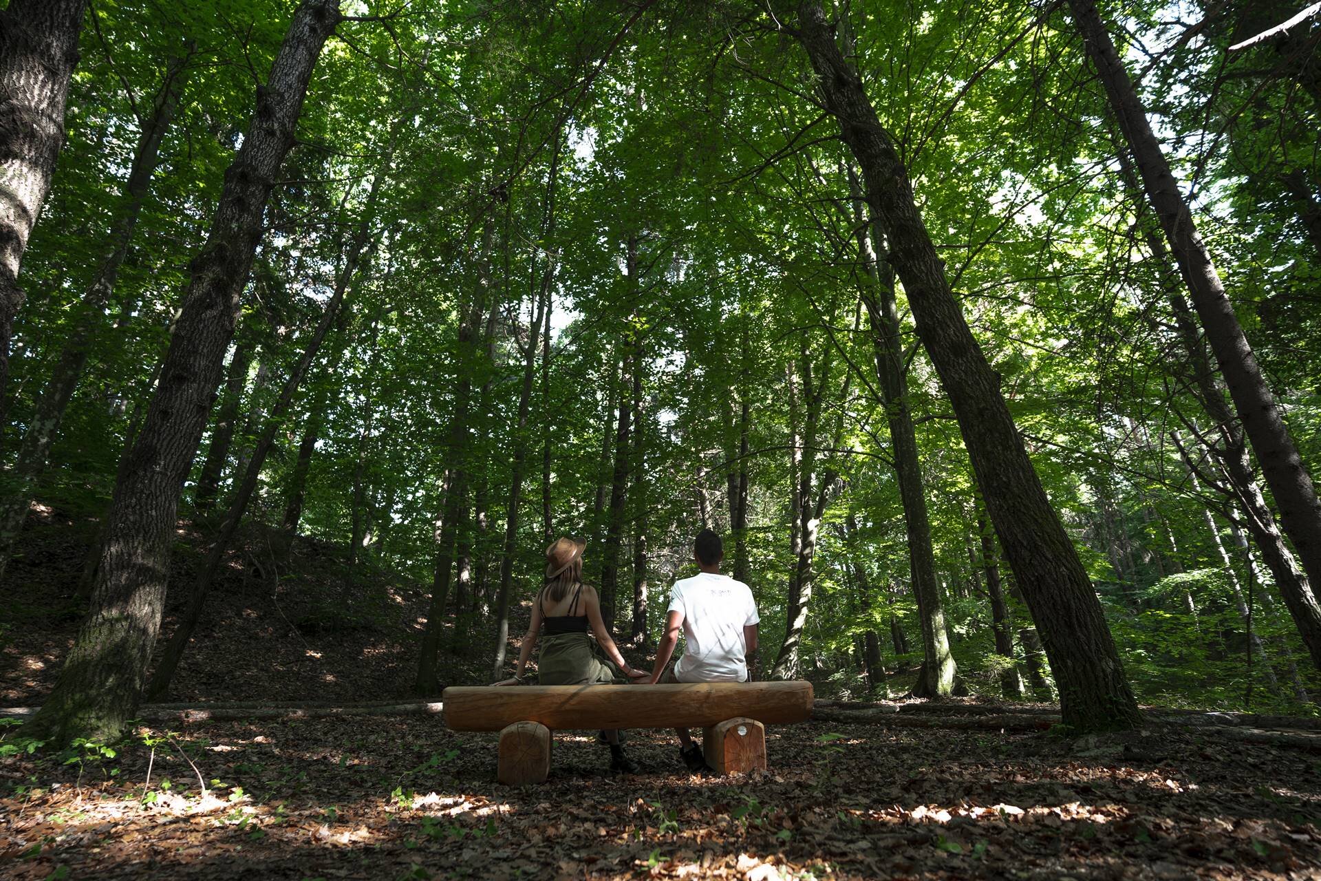 Two people, seen from behind, are sitting on a bench made from a log in the Parco del Respiro in Fai della Paganella. The bench is located in a dense deciduous forest, with sunlight filtering through the treetops, creating an atmosphere of peace and tranquility. | © Marco Santinelli, 2022