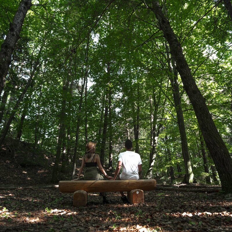 Zwei Personen, von hinten gesehen, sitzen auf einer aus einem Baumstamm gefertigten Bank im Parco del Respiro in Fai della Paganella. Die Bank befindet sich in einem dichten Laubwald, in dem das Sonnenlicht durch die Baumkronen fällt und eine Atmosphäre des Friedens und der Ruhe schafft. | © Marco Santinelli, 2022