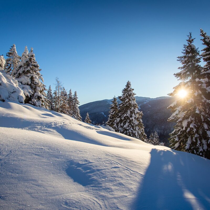 Die Paganella-Wälder nach einem Schneefall. | © Filippo Frizzara, 2019