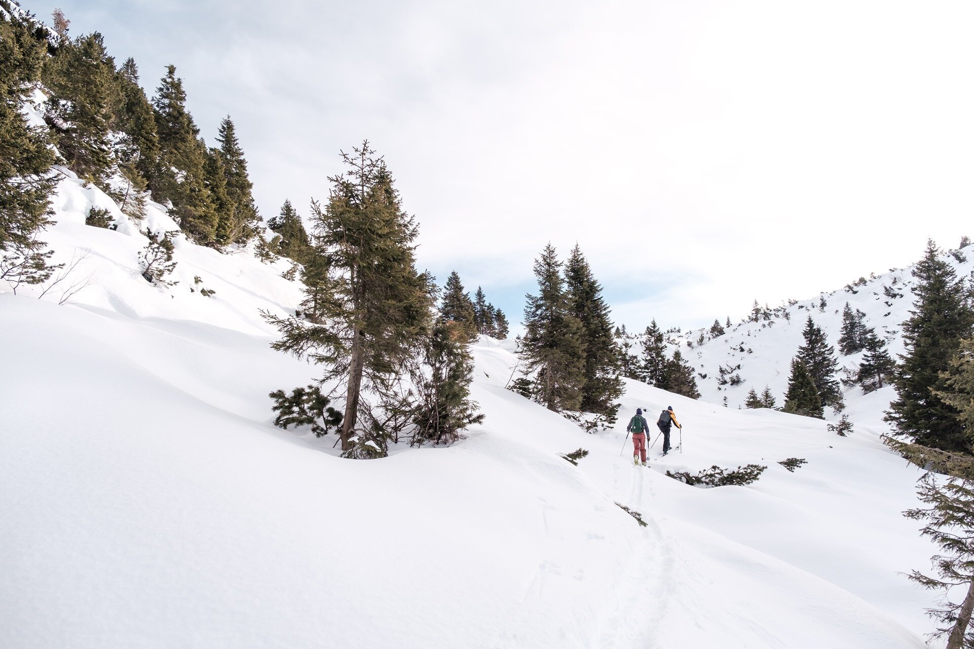 L'immagine mostra due persone che praticano sci alpinismo su un sentiero innevato, circondati da pendii ricoperti di neve e alberi sparsi. Il cielo è chiaro con una leggera velatura, e il paesaggio presenta un'atmosfera tranquilla e naturale. | © Filippo Frizzera, 2024
