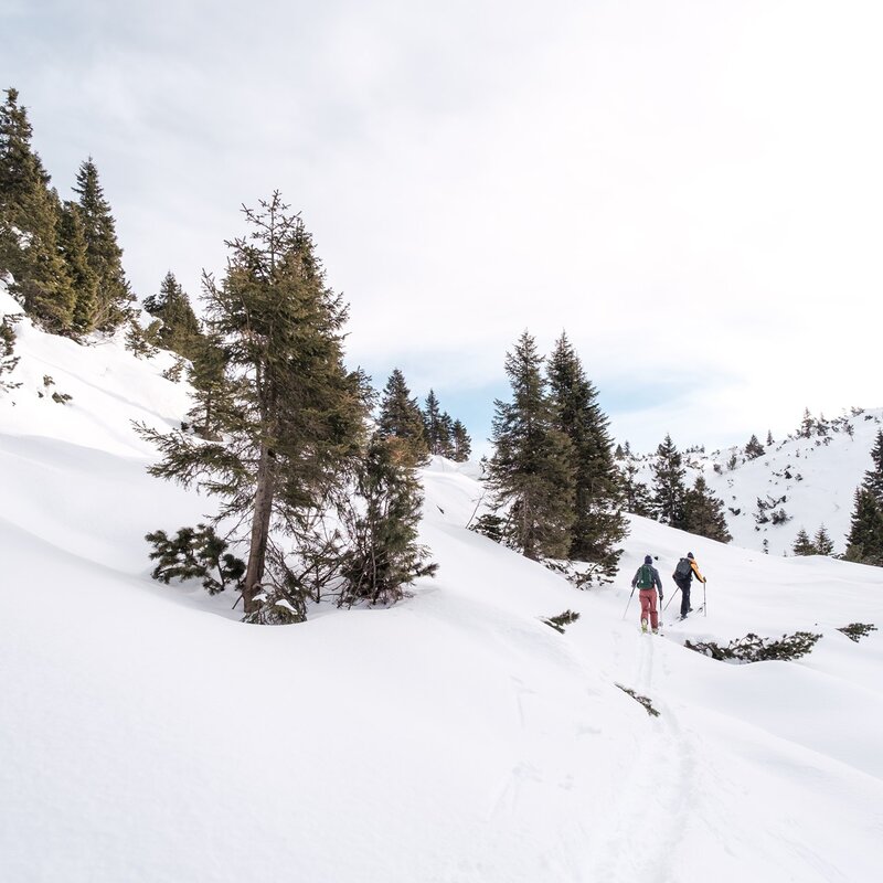L'immagine mostra due persone che praticano sci alpinismo su un sentiero innevato, circondati da pendii ricoperti di neve e alberi sparsi. Il cielo è chiaro con una leggera velatura, e il paesaggio presenta un'atmosfera tranquilla e naturale. | © Filippo Frizzera, 2024