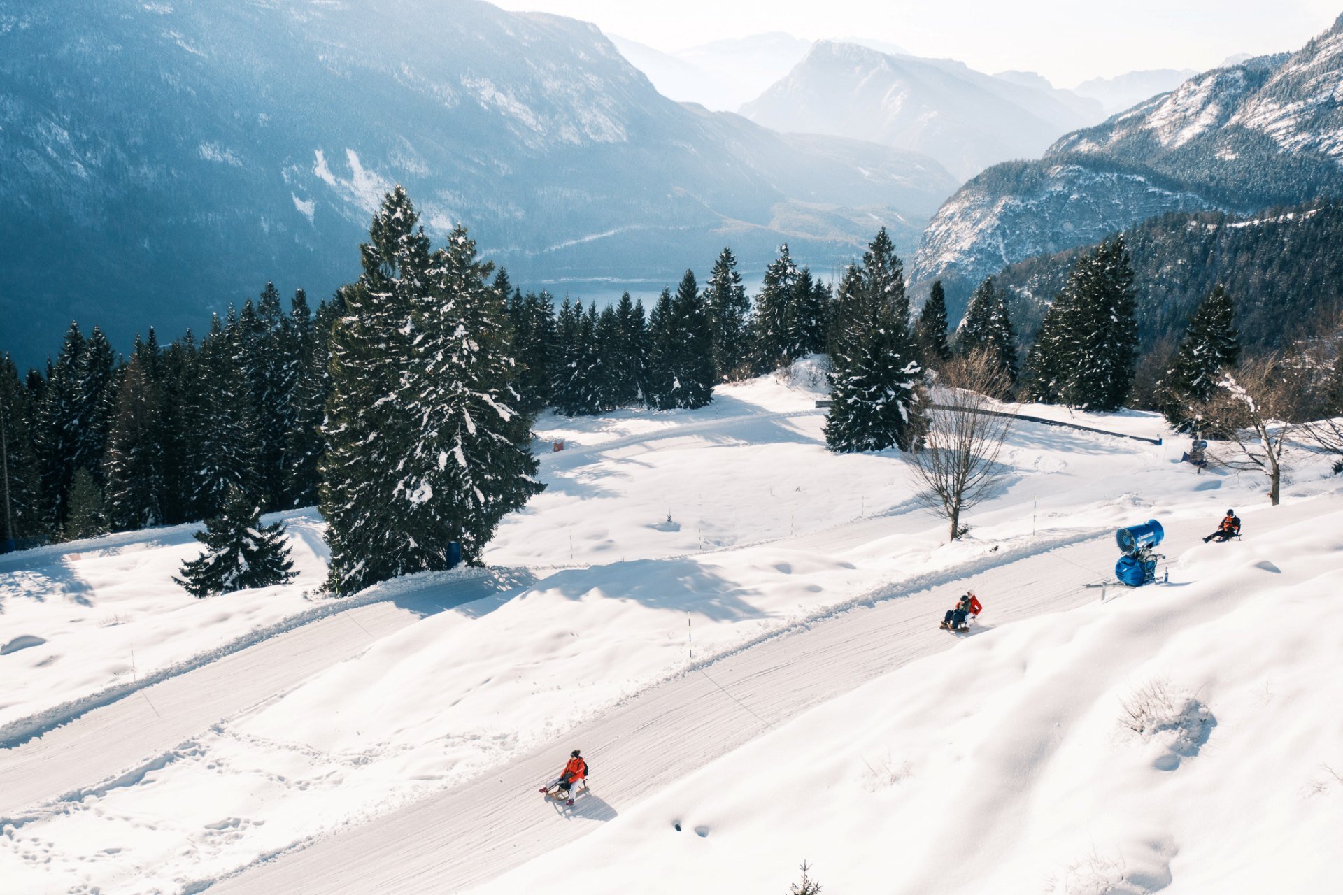 A high-angle panoramic view of a long, snowy sledding track. Several people are sliding down the winding path through fir forests, with a spectacular view of the lake and mountains in the background. | © Filippo Frizzera, 2026
