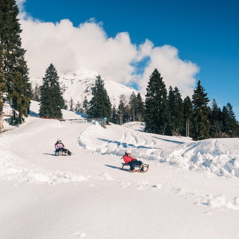 Two children having fun riding sleds around a curve on a groomed snowy track. In the background, tall fir trees and a snow-capped mountain peak stand out against a blue sky with white clouds. | © Filippo Frizzera, 2026