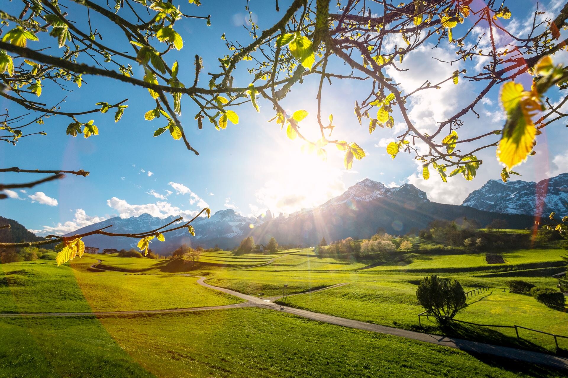 Un prato verde brillante si estende fino a quando incontra le Dolomiti di Brenta innevate sullo sfondo. La foto è incorniciata da rami con foglie verde chiaro illuminate dal sole. Un sentiero serpeggia attraverso il prato, mentre il sole splende nel cielo azzurro con nuvole bianche. | © Filippo Frizzera, 2019
