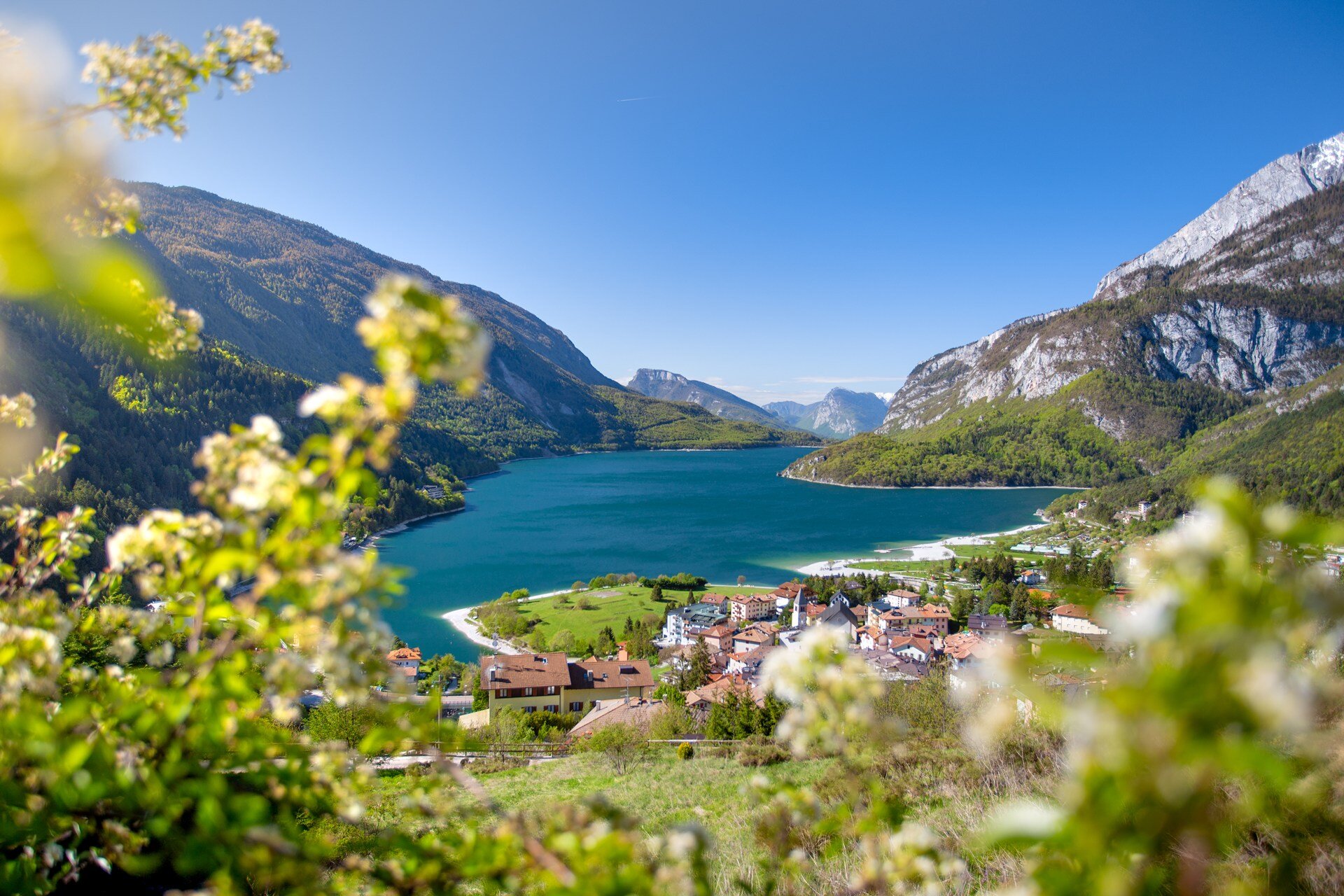 Molveno, with its dark-coloured houses with sloping roofs, lies on the shores of the lake, whose deep blue waters contrast with the steep mountains that surround it. In the foreground, white flowers with delicate petals add a touch of spring colour to the landscape. | © Filippo Frizzera, 2019
