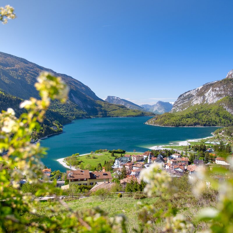 Molveno, with its dark-coloured houses with sloping roofs, lies on the shores of the lake, whose deep blue waters contrast with the steep mountains that surround it. In the foreground, white flowers with delicate petals add a touch of spring colour to the landscape. | © Filippo Frizzera, 2019