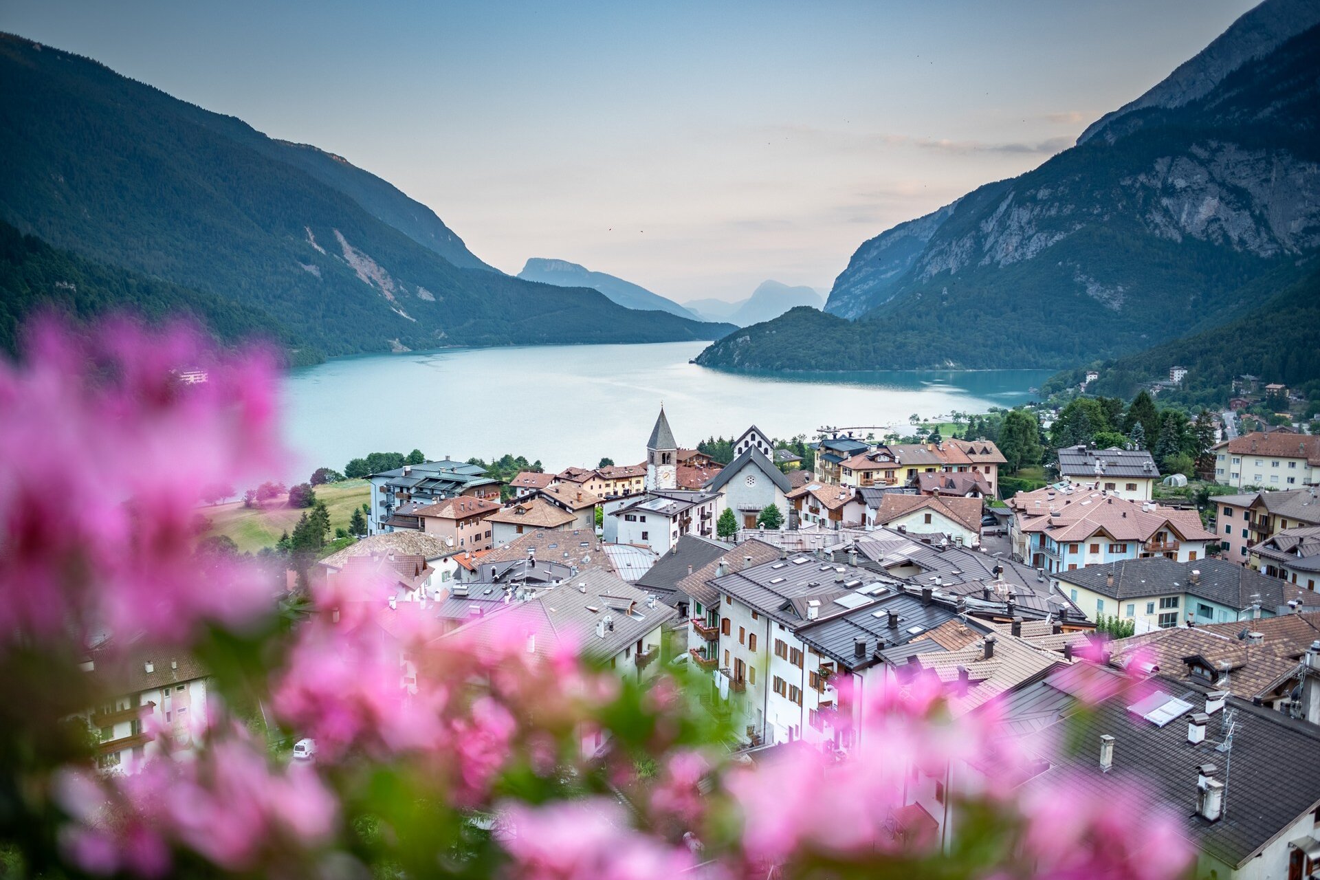 A panoramic view from above shows the village of Molveno, with its houses clustered around the church with its bell tower. The village overlooks Lake Molveno, surrounded on three sides by mountains. In the foreground, pink flowers with delicate petals. | © @ourfamily.it, 2019