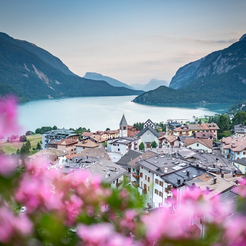 Ein Panoramablick von oben zeigt das Dorf Molveno mit seinen Häusern, die sich um die Kirche mit ihrem Glockenturm gruppieren. Das Dorf blickt auf den Molveno-See, der auf drei Seiten von Bergen umgeben ist. Im Vordergrund rosa Blumen mit zarten Blütenblättern. | © @ourfamily.it, 2019