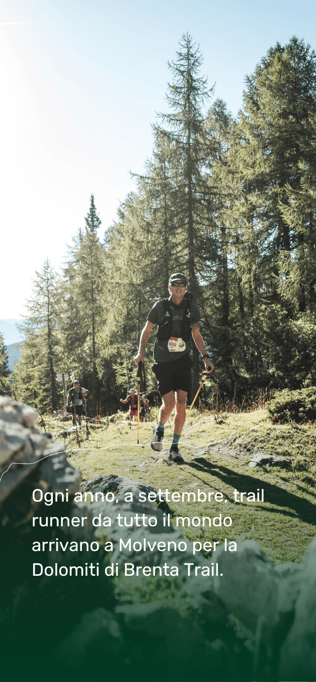 Immagine verticale di un atleta che corre su un sentiero di montagna soleggiato tra i larici. In sovrimpressione, un testo dice "Ogni anno, a settembre, trail runner da tutto il mondo arrivano a Molveno per la Dolomiti Brenta Trail.". | © Filippo Frizzera, 2025