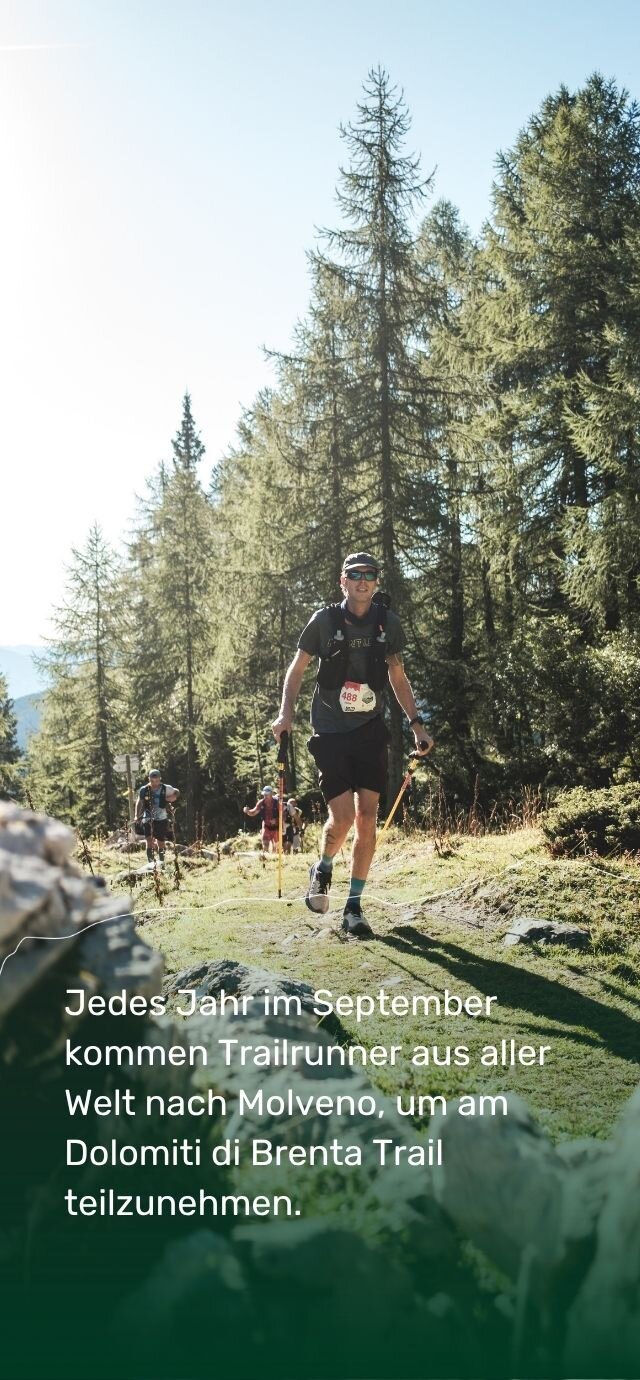 Ein Trailrunner mit Sonnenbrille, Mütze und Trinkrucksack läuft einen sonnenbeschienenen Bergpfad durch einen Lärchenwald hinunter. In der Ferne hinter ihm sind weitere Läufer zu sehen. Eine weiße grafische Linie folgt dem Gelände. Der Text unten lautet: „Jedes Jahr im September empfängt Molveno Trailrunner aus aller Welt zum Dolomiti di Brenta Trail.“ | © Filippo Frizzera, 2025