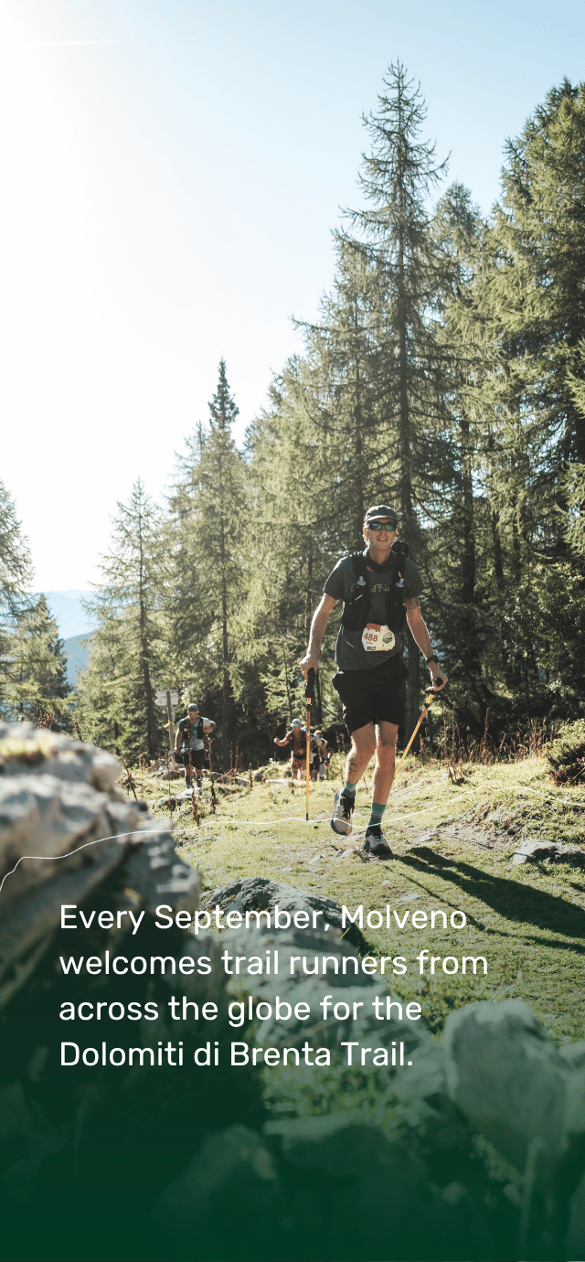 A trail runner with sunglasses, a cap, and a hydration vest runs down a sunlit mountain path through a larch forest. Other runners are visible in the distance behind him. A white graphic line follows the terrain. The text at the bottom reads: "Every September, Molveno welcomes trail runners from across the globe for the Dolomiti di Brenta Trail." | © Filippo Frizzera, 2025