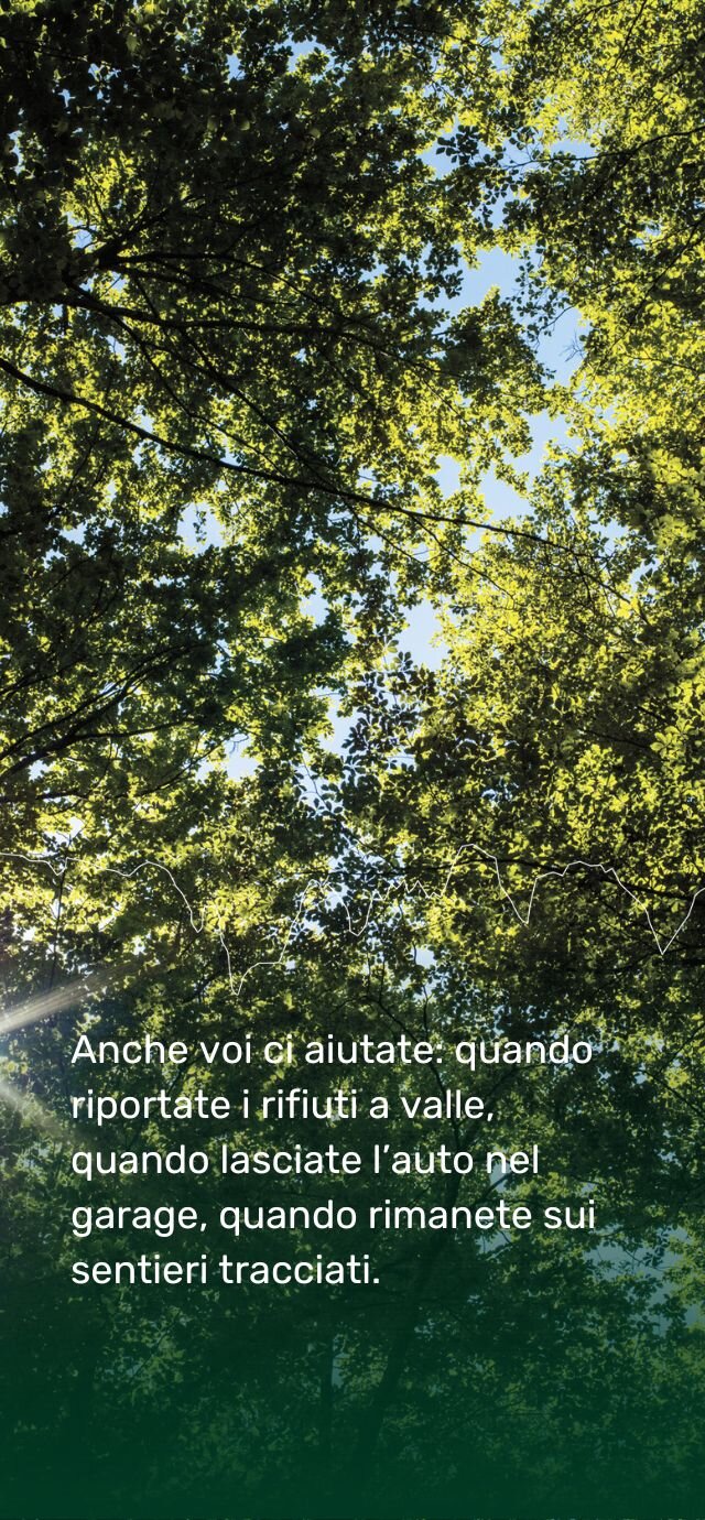 Fitta chioma di alberi verdi e luminosi, con raggi di sole che filtrano tra le foglie, in una giornata estiva. L'immagine è sovrapposta dalla linea dell'orizzonte delle Dolomiti di Brenta e dal testo che recita: 'Anche voi ci aiutate: quando riportate i rifiuti a valle, quando lasciate l'auto nel garage, quando rimanete sui sentieri tracciati'. | © Filippo Frizzera, 2024