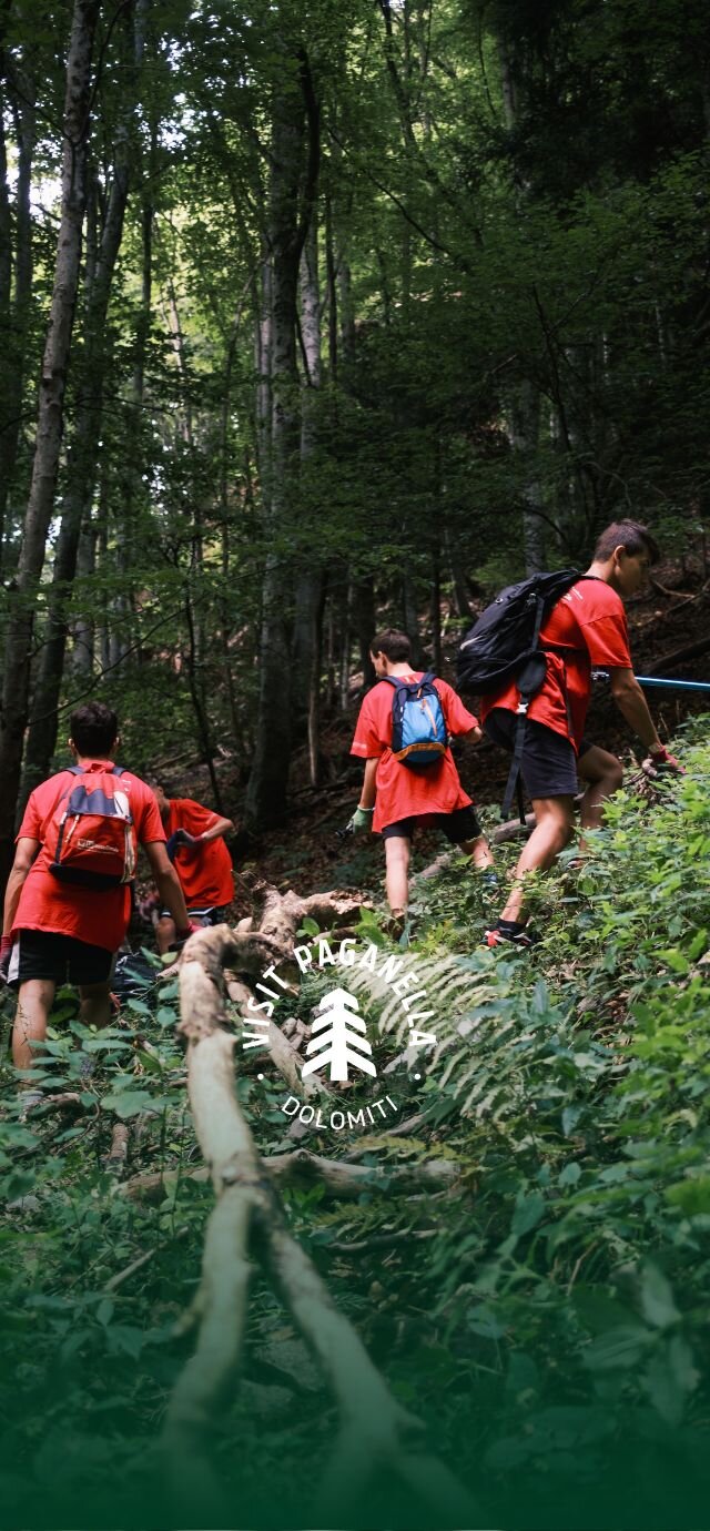 Un gruppo di giovani, visti di schiena con indosso magliette rosse e zainetti, sta camminando in fila su un ripido sentiero all'interno di una fitta foresta. I partecipanti si fanno strada tra il verde lussureggiante del sottobosco, mentre in sovrimpressione è presente il logo con la scritta "VISIT PAGANELLA" e il pulsante 'Ci sto affare fatica' per leggere di più su questo argomento. | © Filippo Frizzera, 2024