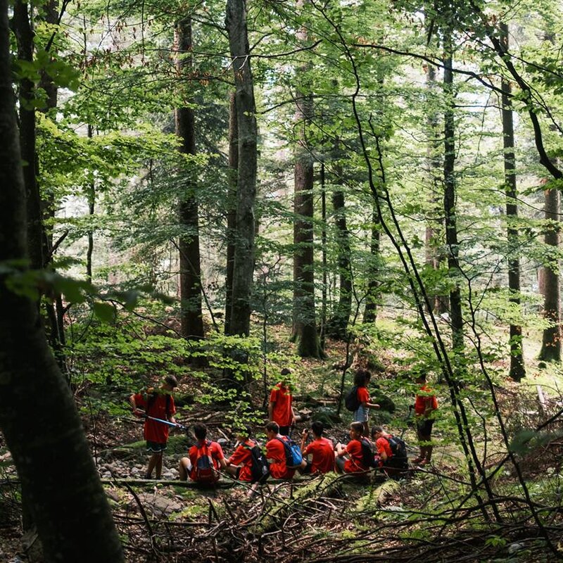 In a dense forest, a group of young people wearing red T-shirts have gathered in a small clearing lit by flashes of light filtering through the trees. Most of the participants are sitting on the ground, taking a break while hiking through the undergrowth. | © Filippo Frizzera, 2024