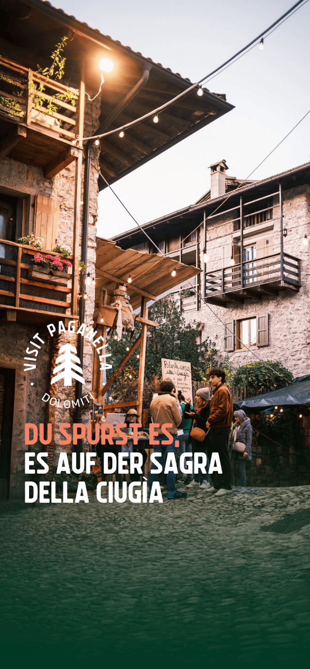 Sagra Della Ciuiga Copertina Interna De