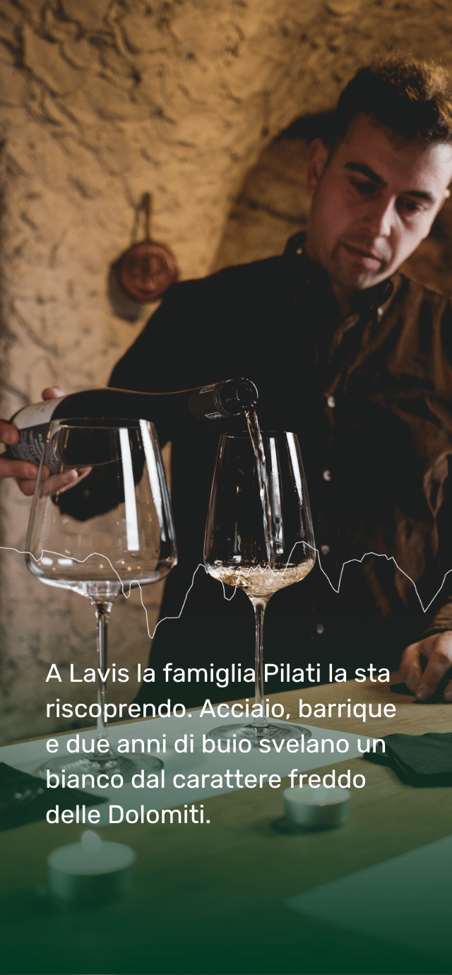 All'interno di una cantina rustica con pareti in pietra ad arco, un uomo sta versando del vino bianco da una bottiglia scura in un ampio calice di vetro appoggiato su un tavolo verde. Accanto c'è un secondo calice vuoto. A metà immagine passa una sottile linea bianca dal tratto irregolare che ricorda il profilo stilizzato delle montagne. Nella parte inferiore, su uno sfondo sfumato verde scuro, è presente il seguente testo in bianco: "A Lavis la famiglia Pilati la sta riscoprendo. Acciaio, barrique e due anni di buio svelano un bianco dal carattere freddo delle Dolomiti." | © Filippo Frizzera, 2025