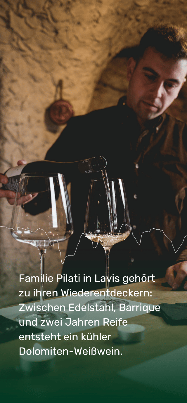 In einem rustikalen Weinkeller mit gewölbten Steinwänden schenkt ein Mann Weißwein aus einer dunklen Flasche in ein großes Weinglas ein, das auf einem grünen Tisch steht. Daneben steht ein weiteres leeres Glas. Quer über die Bildmitte verläuft eine feine, unregelmäßige weiße Linie, die an ein Bergprofil erinnert. Im unteren Bereich steht auf einem dunkelgrünen Farbverlauf der folgende weiße Text: "Familie Pilati in Lavis gehört zu ihren Wiederentdeckern: Zwischen Edelstahl, Barrique und zwei Jahren Reife entsteht ein kühler Dolomiten-Weißwein." | © Filippo Frizzera, 2025