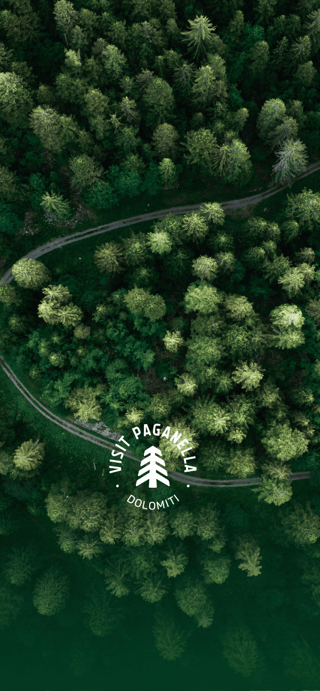Una veduta aerea dall'alto di un fitto bosco di conifere verde scuro. Una stradina sterrata serpeggia formando ampie curve tra gli alberi. Nella parte inferiore al centro è sovrapposto un logo circolare bianco con un abete stilizzato e le scritte "VISIT PAGANELLA" nella metà superiore e "DOLOMITI" in quella inferiore. | © Marco Santinelli, 2022