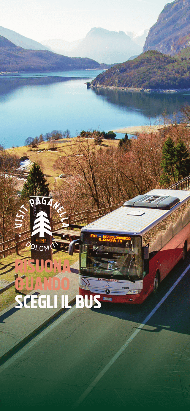 Una ripresa dall'alto di un autobus extraurbano di colore rosso e grigio che viaggia su una strada asfaltata. In basso a sinistra, su una sfumatura verde scuro, si trova un logo circolare bianco con un abete stilizzato al centro e le parole "VISIT PAGANELLA" e "DOLOMITI". Sotto il logo è scritto il seguente testo in maiuscolo: "RISUONA QUANDO" (in color pesca) "SCEGLI IL BUS" (in bianco) | © Filippo Frizzera, 2019