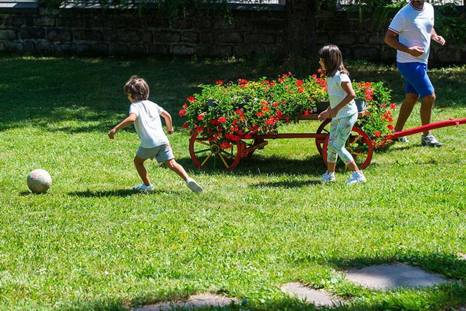 Immagine