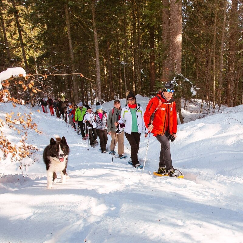 Snowshoe walk Il Pinguino