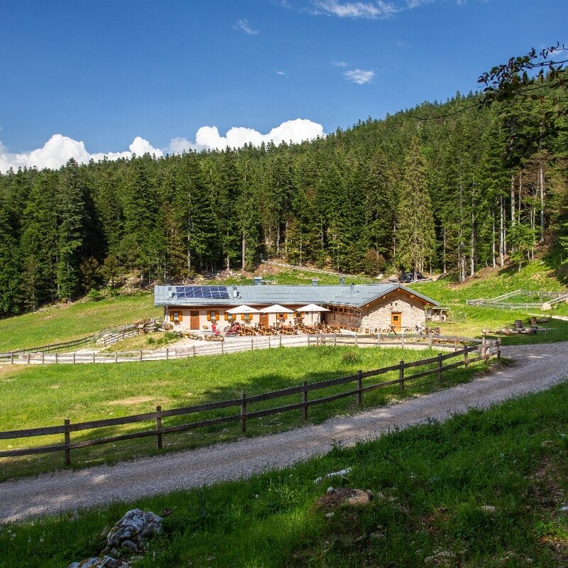Escursione a Malga Val dei Brenzi