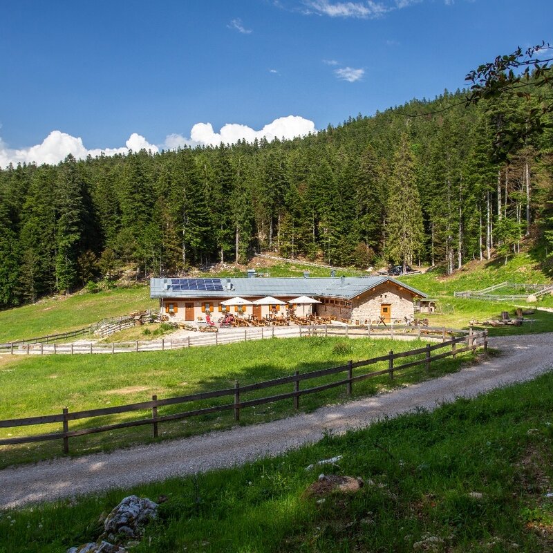 Escursione da Santel a Malga Val dei Brenzi